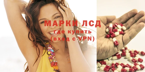 ешки Великий Новгород