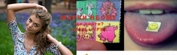 мдпв Дмитриев