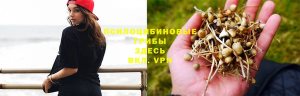 марки nbome Дмитров