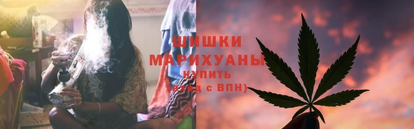 мдпв Дмитриев