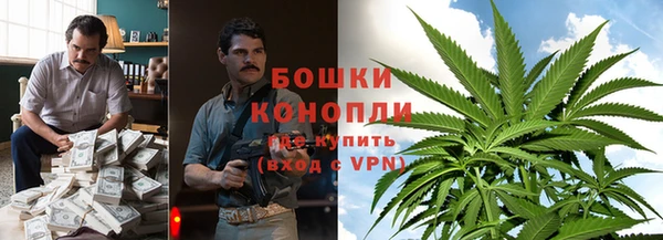 мдпв Дмитриев