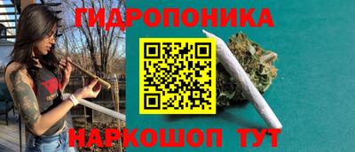 spice Заволжье