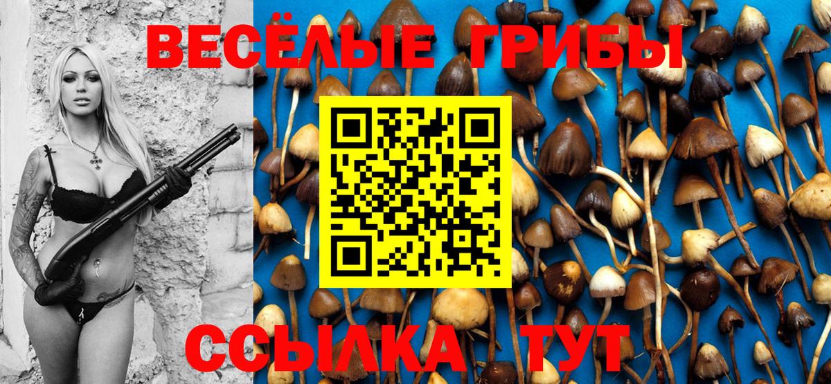 купить  сайты  Вход с VPN  Осинники  Псилоцибиновые грибы Cubensis  Галлюциногенные грибы прущие грибы 